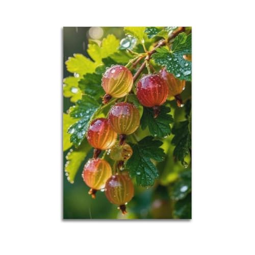 ZHOUKEG Kunstvolles Wandbild, Motiv: Stachelbeeren mit Tau, Ökologie, Realismus, modernes Wandbild, 40 x 60 cm von ZHOUKEG
