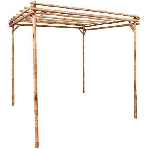 Pergola, ZHOUMIN Balkon Pavillon, Beschattung Terasse, Gartenpergola, Garten Verzierung, Bambus 170×170×220 cm von ZHOUMIN