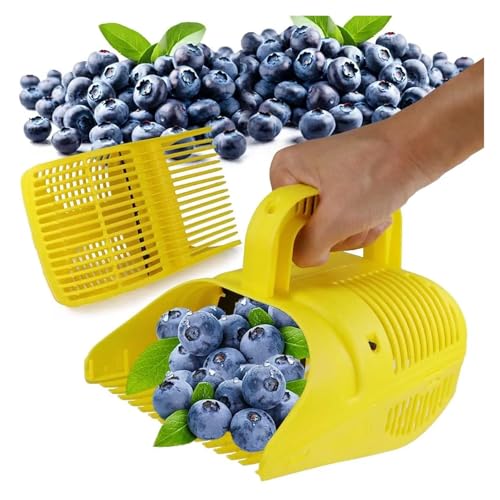 ZHOUXYFDC Apfelpflücker Tragbare Berry Blueberry Picker Kunststoff Kamm Rechen Handheld Picking Sammlung Obst von ZHOUXYFDC