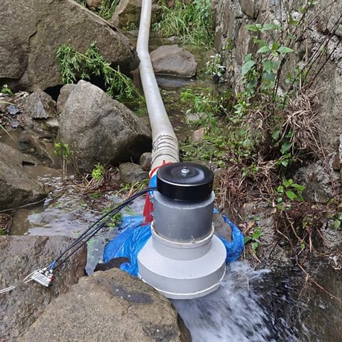 ZHOZHUT 3000W Turbinen-Wasserkraftgenerator 3KW 220V Micro Hydroelectric Generator Mit Vorschaltgerät Und 110-mm-Ansaugstutzen 3500RPM Wasserkraft Generator Für Zuhause, Outdoor, Camping,3kw,220V von ZHOZHUT