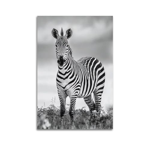 Wildtier-Kunstwerk-Poster, schwarzes und weißes Zebra, dekoratives Gemälde, Leinwand-Kunstbild, 40 x 60 cm von ZHUAI