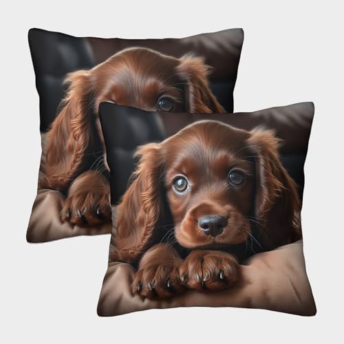 ZHUICHENG Cocker Spaniel Gemusterte Jagdhund Kissenbezüge, 2er Pack, Geeignet Für Living Room Accent Und Bedroom Comfort, Leicht Zu Reinigen 45x45cm ZHUICHENG Cocker Spaniel Gemusterte Jagdhund Kissenbezüge, 2er Pack, Geeignet Für Living Room Accent Und Bedroom Comfort, Leicht Zu Reinigen 45x45cm von ZHUICHENG