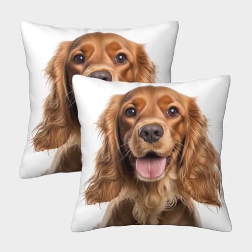 ZHUICHENG Cocker Spaniel Gemusterte Jagdhund Kissenbezüge Im 2er-Set, Geeignet Für Living Room Accent Und Bedroom Comfort, Leicht Zu Reinigen 40x40cm von ZHUICHENG