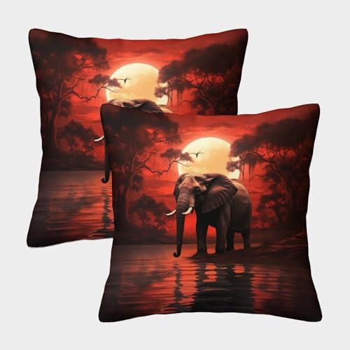 ZHUICHENG Elefant Weicher Tier Dekorativ Kissenbezug, Quadratische Form Im 2er Set, Perfekt Für Stylish Accessory Und Pet Corner, Maschinenwaschbar 50x50cm von ZHUICHENG