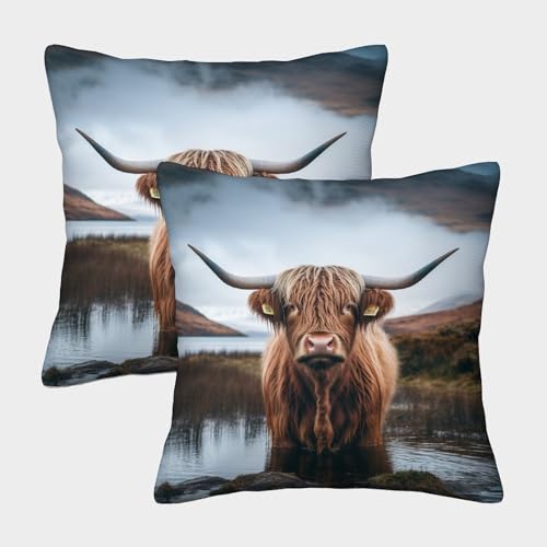 ZHUICHENG Hochlandrind Quadratische Hochlandkuh Kissenbezüge Im 2er-Set, Geeignet Für Bedroom Comfort Und Outdoor Leisure, Leicht Zu Reinigen 50x50cm ZHUICHENG Hochlandrind Quadratische Hochlandkuh Kissenbezüge Im 2er-Set, Geeignet Für Bedroom Comfort Und Outdoor Leisure, Leicht Zu Reinigen 50x50cm von ZHUICHENG