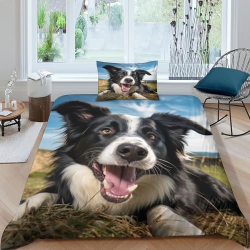 ZHUICHENG Niedlicher Border Collie 3D-Gedruckter Bettwäsche-Set Mit Bettbezug-Set Bedruckt Für Kinder Teenager ErwachseneTagesdecke Bezug Mit Weich Leicht Duvet Cover 2-Piece Einzeln（135x200cm） von ZHUICHENG
