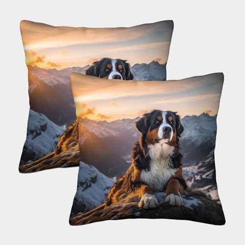 ZHUICHENG Schweizer Berner Sennenhund Weicher Kissenbezug, Quadratische Form Im 2er Set, Perfekt Für Stylish Accessory Und Pet Corner, Maschinenwaschbar 45x45cm von ZHUICHENG