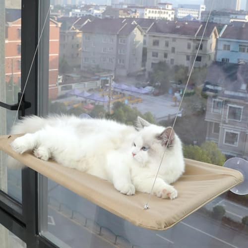 Katzen Hängematte Fensters, Katze Fensters Barsch Mits 4 Starken Saugnäpfen Platz Sparende Katzen Hängematte Katzen Fensterliege Für Katzen Im Inneren Katzen Hängematte Fensters, Katze Fensters Barsch Mits 4 Starken Saugnäpfen Platz Sparende Katzen Hängematte Katzen Fensterliege Für Katzen Im Inneren von ZHUMCCY