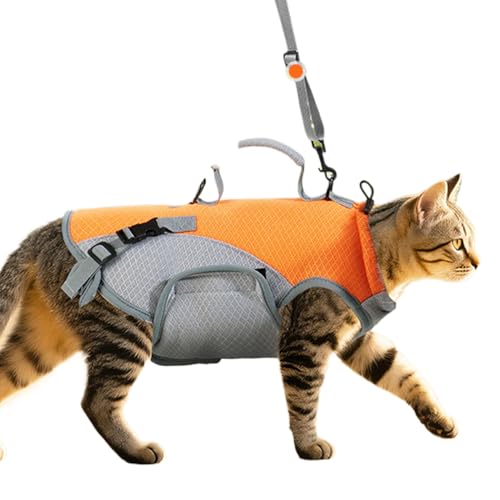 ZHUMCCY Kühlweste für Hunde,Kühlweste mit Geschirrfunktion - Verstellbare Kühlweste Für Kleine & Mittelgroße Hunde Sommerhitze Camping Outdoor Picknick von ZHUMCCY