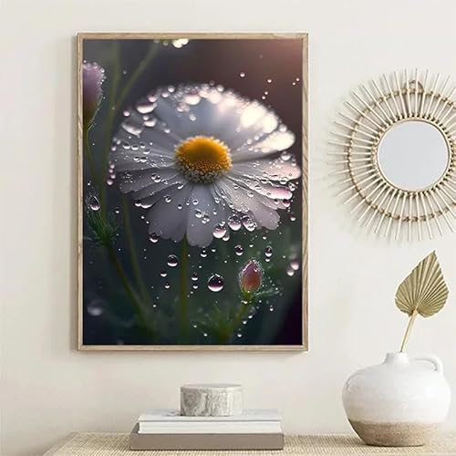 ZHUOYA Blume, weißes Gänseblümchen, Wassertropfen, kleines Gänseblümchen, ästhetische Wandkunst, Leinwandgemälde, Drucke, Wohnzimmer-Inneneinrichtung (50 x 70 cm) von ZHUOYA