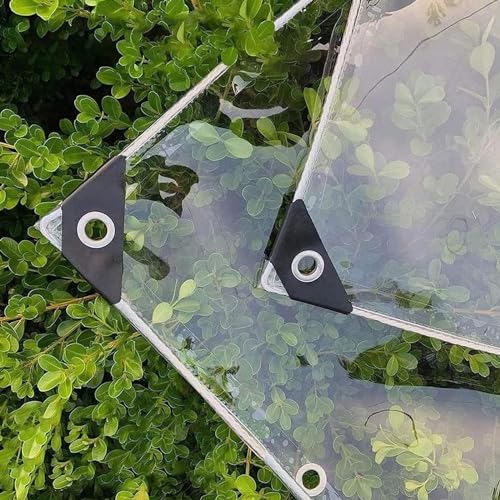 ZHUOZ1T Plane Durchsichtig für Außenbereich,Transparente PVC Wasserdichte Plane,Wasserdichte Plane,Abdeckplane für Gartenmöbel Pflanzen Gewächshaus Pet Hutch Dach,mit Ösen & Seil (1m x 3,4m) von ZHUOZ1T
