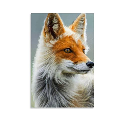 ZHUTOU Fuchs Tier Poster Leinwand Kunst Poster und Wandkunst Bild Druck Moderne Familie Schlafzimmer Dekor Poster 30 x 45 cm von ZHUTOU