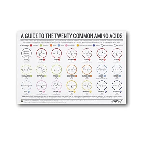 ZHUYING Lernposter 20 Aminosäuren – Physiologische Struktur, Posterdruck, Foto, Kunst, Malerei, Leinwand, Poster, Zuhause, moderne Dekoration, Poster, 30 x 45 cm ZHUYING Lernposter 20 Aminosäuren – Physiologische Struktur, Posterdruck, Foto, Kunst, Malerei, Leinwand, Poster, Zuhause, moderne Dekoration, Poster, 30 x 45 cm von ZHUYING