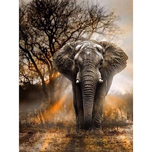 ZHXXFD 5D Diamond Painting 50X60CM Elefant Full Bilder Groß Runde Steine Crystal Strass Diamond Stickerei Set Kreuzstich Mosaik Für Kinder Anfänger Frameless von ZHXXFD