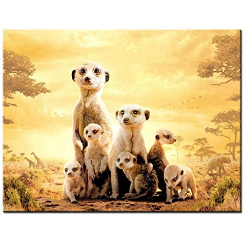 ZHXXFD 5D Diamond Painting Erwachsene Kinder Set Tiere - Diamond Painting Bilder Full Groß 40X50CM Erdmännchen - Diamant Malerei Nach Zahlen Kits Für Teenager Mädchen Jungen von ZHXXFD