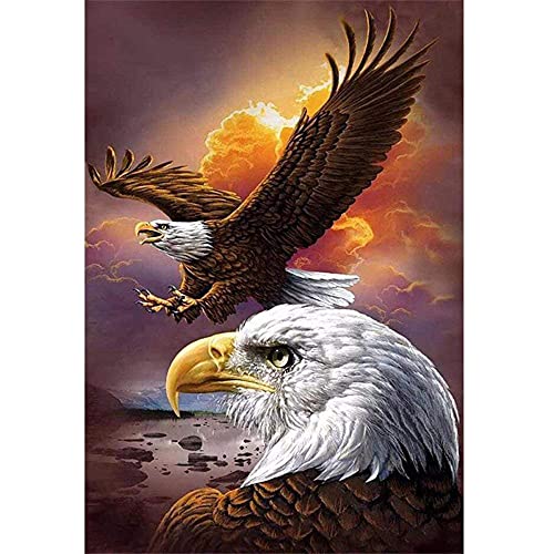 ZHXXFD Diamond Painting Bilder Set Full Groß Tier Adler 40X50 5D Diamond Painting Strass Runden Steine,Diamant Painting Set Erwachsene Kinder Diamant Malerei Kunst Kit von ZHXXFD