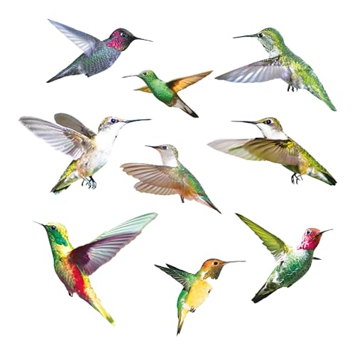9 Stück beidseitiger Vogel Aufkleber Fenster beidseitiger statischer Selbstkleber Fenstersticker Fensterfolie selbsthaftend geeignet für alle Fenster in allen Zimmern des Hauses Glasscheiben Gartentür von ZHYTUAL