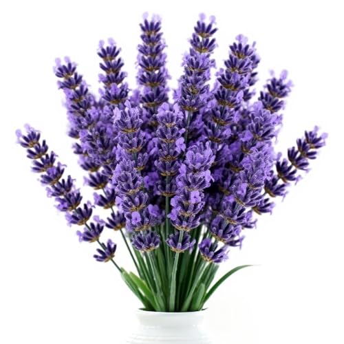 ZHYTUAL 12 Bündel Lavendel Künstlich lebensechte Kunstblumen Kunstblumen wie Echt Kunstblume geeignet für Garten Café Büro Buchhandlung Kunstgalerie ZHYTUAL 12 Bündel Lavendel Künstlich lebensechte Kunstblumen Kunstblumen wie Echt Kunstblume geeignet für Garten Café Büro Buchhandlung Kunstgalerie von ZHYTUAL