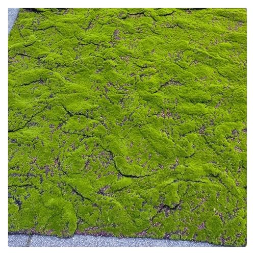 ZHZHXR Künstliches Moos, Kunstrasen Den Außenbereich Pasto Sintético Weiche Textur Für Terrasse, Balkon, Deck, Garten, Kunstwand, Floristen Dekor(A) von ZHZHXR