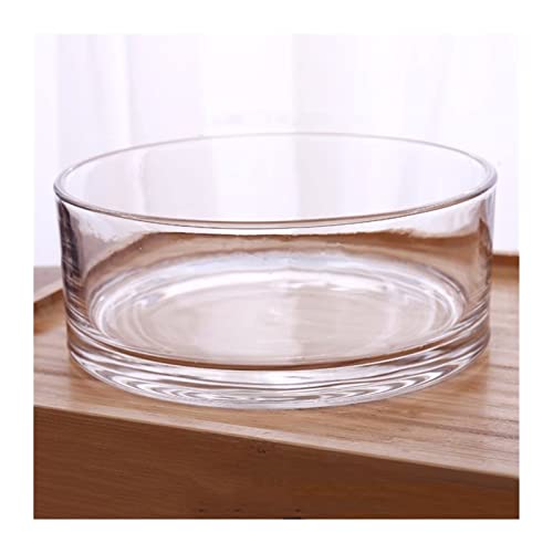 Blumenvase Verdickte gerade Röhrenvase, Glasaquarium, zylindrisch, großes Wohnzimmer, Boden-zu-Boden-Blumenvase, Wasser erhöht, Blume, transparentes Glasornament Vase zur Dekoration(Klein) von ZIGUIhsou-11