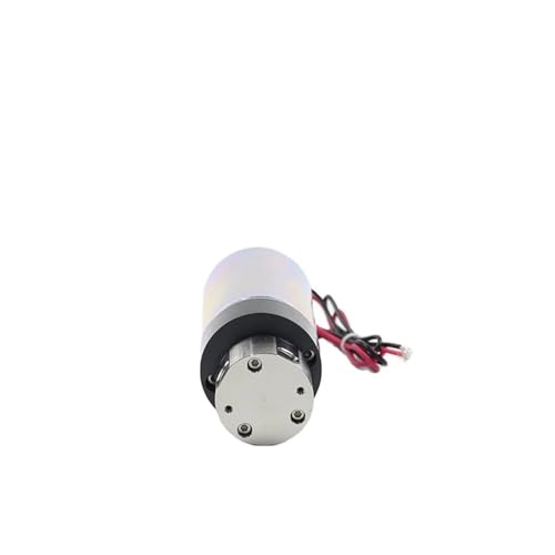 Kompatibel mit SOVOFLO KGP-308XP, elektrisch, Edelstahl, Zahnradpumpe, 24 V DC, 1,8–3,0 l/min, 5 bar, 100 °C, Heißwasser/Milch, Kaffee, Getränk(KGP-312XP,24V) von ZINTCBLGE