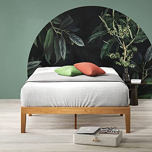 Zinus | Holzbett 140 x 200 cm | 35 cm Höhe | Stauraum unter dem Bett | Aus Massivholz | Kinderbett/Jugendbett/Gästebett | Superstabile Konstruktion | Designed in Germany | 5 Jahre Garantie Zinus | Holzbett 140 x 200 cm | 35 cm Höhe | Stauraum unter dem Bett | Aus Massivholz | Kinderbett/Jugendbett/Gästebett | Superstabile Konstruktion | Designed in Germany | 5 Jahre Garantie von Zinus