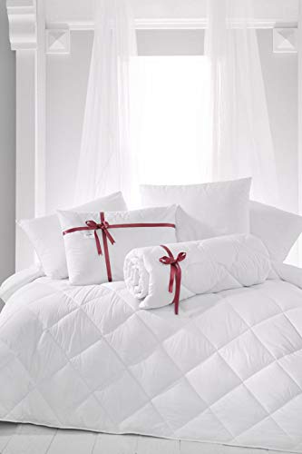 ZIRVEHOME Bettdecke 200x220 cm Steppbettdecke und 2 mal kopfkissen 80x80 cm. 3 teilig Set, allergikergeeinet, 100% Microfaser 4 Jahreszeiten, (200 x 220 + 2 STK 80x80 cm) von ZIRVEHOME