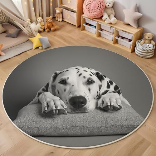 ZISTRCBAO Runder Teppich 80cm, Dalmatiner Teppich Rund, Tierrealismus rutschfest Teppiche Weich Wohnzimmer Für Küche Schlafzimmer Studie Heimbüro, Dunkelgrau ZISTRCBAO Runder Teppich 80cm, Dalmatiner Teppich Rund, Tierrealismus rutschfest Teppiche Weich Wohnzimmer Für Küche Schlafzimmer Studie Heimbüro, Dunkelgrau von ZISTRCBAO