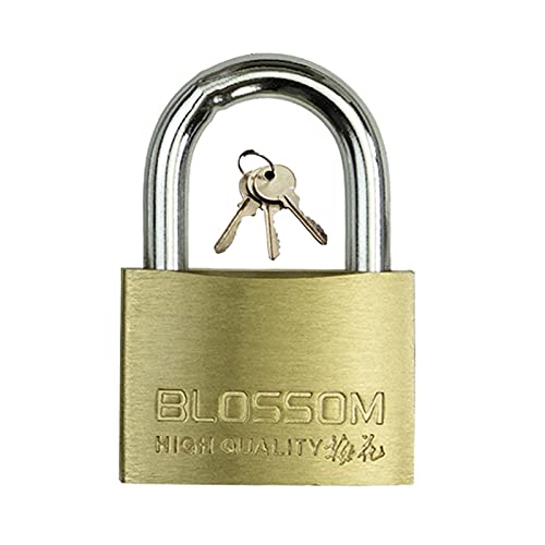 Schlüsselvorhängeschloss aus Messing mit 3 Schlüsseln, wasserdichtes und rostfreies Sicherheits-Diebstahlschutzschloss, optionales Kurzbalken- Langbalkenschloss(Style1,35mm) von ZIUBMVDYC