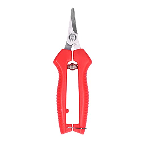 FRUIT PRUNER SCISSORS GEMÜSE UND FRUCHT TRIMMING PFLANZEN OBST GEMÜSE GEMÜSE GARTEN PRUNGS SHEARS FÜR GARTENS MATERIAL: EDELSTAHL GRÖSSE: 16CM GEEIGNET FÜR GÄRTENER FRUIT PRUNER SCISSORS GEMÜSE UND FRUCHT TRIMMING PFLANZEN OBST GEMÜSE GEMÜSE GARTEN PRUNGS SHEARS FÜR GARTENS MATERIAL: EDELSTAHL GRÖSSE: 16CM GEEIGNET FÜR GÄRTENER von ZIXINNKC