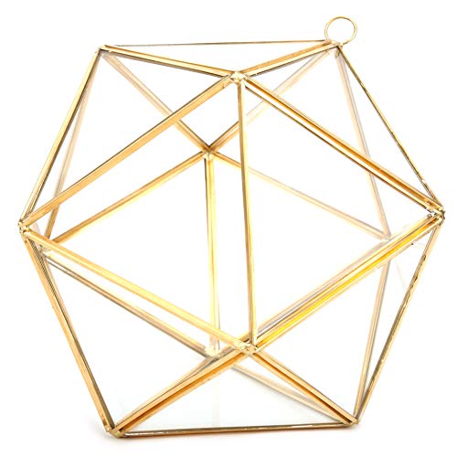 Geometrische polyedrische Form Glasblume Dekorative Pflanzen Pflanzgefäße für Home Office Balkon von ZIXINNKC