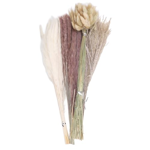 ZIXINNKC 100 pcs gemischte getrocknete Pampas Gras Reed Home Decor Tisch Mittelstücke getrocknete Blumen 17inch HS26 ZIXINNKC 100 pcs gemischte getrocknete Pampas Gras Reed Home Decor Tisch Mittelstücke getrocknete Blumen 17inch HS26 von ZIXINNKC