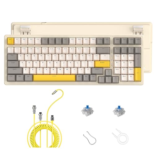 ZIYOU LANG K3MAX Kabelgebundene Hot-Swap-fähige Mechanische Gaming-Tastatur mit Spiral-USB-C-Kabel, 100 Tasten, Kompaktes Layout, 19 RGB-Tastatur mit Backlit, Blauer Schalter für Win/Mac-Käse von ZIYOU LANG