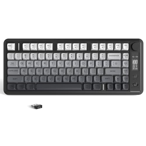 ZIYOU LANG M75 Kabellose Gaming-Tastatur mit Smart-Display und Drehknopf, Bluetooth/2,4 GHz, PBT-Tastenkappen, Regenbogen-Hintergrundbeleuchtung, TKL-Membrantastatur mit 82 Tasten-Schwarz ZIYOU LANG M75 Kabellose Gaming-Tastatur mit Smart-Display und Drehknopf, Bluetooth/2,4 GHz, PBT-Tastenkappen, Regenbogen-Hintergrundbeleuchtung, TKL-Membrantastatur mit 82 Tasten-Schwarz von ZIYOU LANG