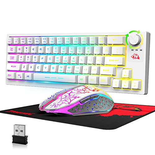 ZIYOU LANG T50 Kabelloses Gaming Tastatur und Maus Set, 4000mAh Rechargeable Halbmechanische Regenbogen Light Up Keyboard 60% Kompakte 64 Tasten, QWERTY+2400 DPI Mute Mäuse+Mauspad für PC Mac-Weiß ZIYOU LANG T50 Kabelloses Gaming Tastatur und Maus Set, 4000mAh Rechargeable Halbmechanische Regenbogen Light Up Keyboard 60% Kompakte 64 Tasten, QWERTY+2400 DPI Mute Mäuse+Mauspad für PC Mac-Weiß von ZIYOU LANG