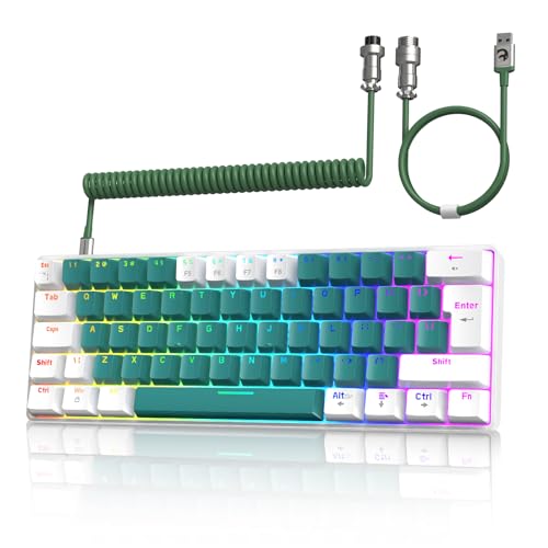 ZIYOU LANG T60 Wired Gaming-Tastatur mit Spiral USB-C Kabel - Kompakt 60% UK Layout(QWERTY) Mechanische Tastatur, 19 Rainbow RGB Backlit Mini 62 Tasten Klickender Blue Switch für PC/Mac/PS4 - Grün von ZIYOU LANG