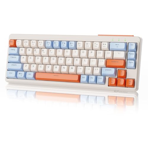 ZIYOU LANG×FREEWOLF M68 TKL Kabellose Gaming-Tastatur, 3-Modus-Kompaktmembrantastatur 2,4 GHz/BT5.1/USB-C, 19 Tasten Anti-Ghosting, Spherica-Tastenkappen, wiederaufladbar 2000 mAh –Blaubeereblau von ZIYOU LANG