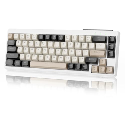 ZIYOU LANG×FREEWOLF M68 TKL Kabellose Gaming-Tastatur, 3-Modus-Kompaktmembrantastatur 2,4 GHz/BT5.1/USB-C, 19 Tasten Anti-Ghosting, Spherica-Tastenkappen, wiederaufladbar 2000 mAh –KCremegrau ZIYOU LANG×FREEWOLF M68 TKL Kabellose Gaming-Tastatur, 3-Modus-Kompaktmembrantastatur 2,4 GHz/BT5.1/USB-C, 19 Tasten Anti-Ghosting, Spherica-Tastenkappen, wiederaufladbar 2000 mAh –KCremegrau von ZIYOU LANG