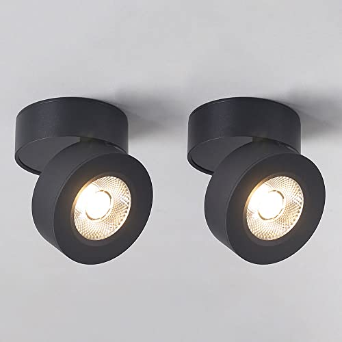ZJHAHJY LED-Aufbaustrahler, verstellbar, Akzent-Spotlampe für den Innenbereich, 2er-Packung, ausrichtbare Deckenleuchte, 5-W-Galerie-Bildbeleuchtung, schwenkbare Wandleuchten von ZJHAHJY