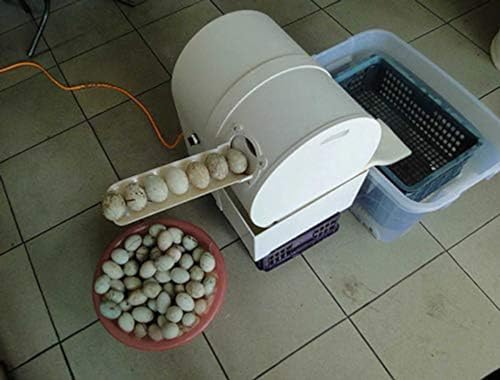 ZJHESXV Edelstahl Dampfgarer - Automatische Eierwaschmaschine mit Kartoffelwaschmaschine von ZJHESXV