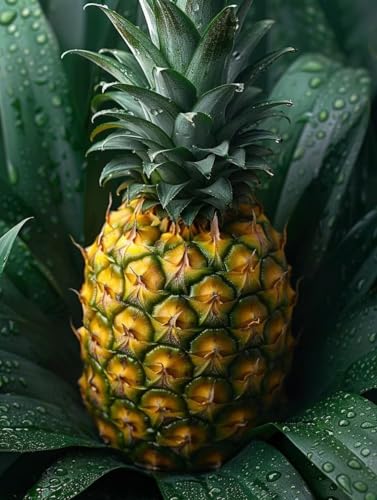 Ananas Diamond Painting Erwachsene, 5D Diamant Painting Bilder Obst Muster Design, Eckige Steine Diamond Art Kinder DIY Strass Stickerei Bastelset für Wanddeko Schlafzimmer, (50x70 cm) -zjn2506G2 von ZJNBBDOU