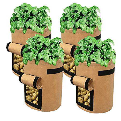 Kartoffel Pflanzsack, Pflanzen Tasche, 4 Stück Vliesstoff Tomaten Pflanztasche für Kartoffeln, Blumen, Pflanzen, Gemüs (10 Gallonen, Braun) von ZJT