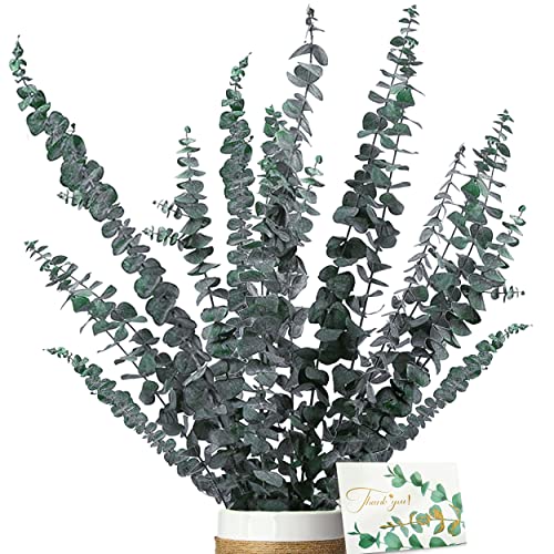 ZJTAPE Eukalyptus Getrocknet - Natürliche Trockenblumen, 16 Stück Enthält Grußkarten, Eukalyptus echt ewig Haltbare Trockenblumen Dekoration für die perfekte Hochzeit、Blumen Arrangements Heim Decor von ZJTAPE