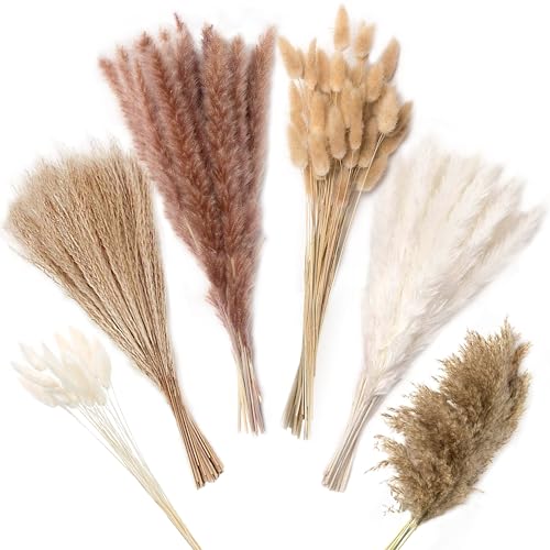 ZJTAPE Pampasgras - 130 Stück Natürliche Trockenblumen Deko, Getrocknete Blumen Dried Flowers, Lagurus Getrocknet Trockenblumenstrauß für Hochzeit Tisch Wohnzimmer Vasen Boho Home Dekor von ZJTAPE