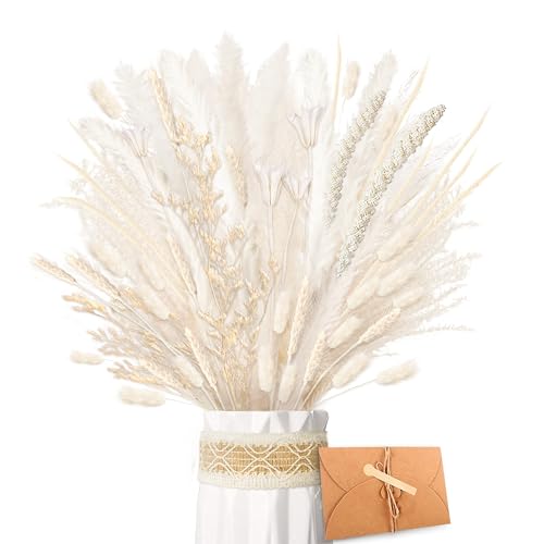 ZJTAPE Pampasgras Getrocknet Natürliche Trockenblumen - Pampasgras Weiß Flauschige Wedel, Lagurus Getrocknet Trockenblumenstrauß Dried Flowers für Hochzeit Tisch Wohnzimmer Boho Home Vasen Dekor von ZJTAPE