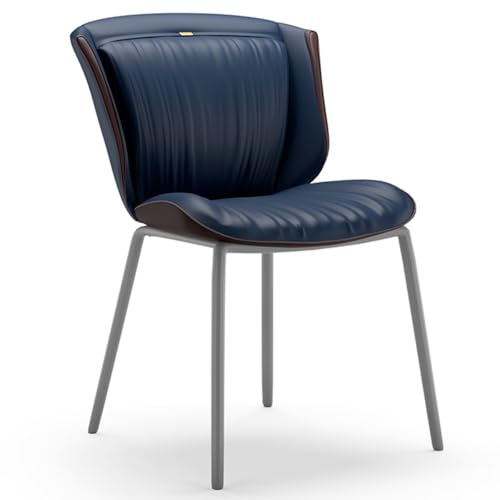 ZJYIGOWL Moderne Esszimmerstühle Lederstuhl Ohne Armlehnen, Gepolstert Einfach Zu Montierende Küchen-Esszimmerstühle Mit Grauen Metallbeinen Für Schlafzimmer, Wohnzimmer(Blauw) von ZJYIGOWL