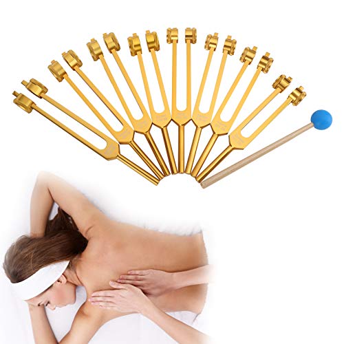 Chakra Stimmgabel Set, 8PCS Aluminiumlegierung Professionelle Klangheilungstherapie Stimmgabel Aluminiumlegierung Stimmgabel Werkzeugset Chakra Stimmgabel Set, 8PCS Aluminiumlegierung Professionelle Klangheilungstherapie Stimmgabel Aluminiumlegierung Stimmgabel Werkzeugset von ZJchao