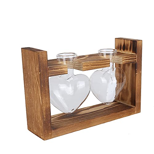 Innovative Vintage Blumentopf Transparent Vase Home Dekoration für Wohnzimmer Schlafzimmer Büroschreibtisch (Retro -Rahmen + 2 Herzflaschen) von ZJchao