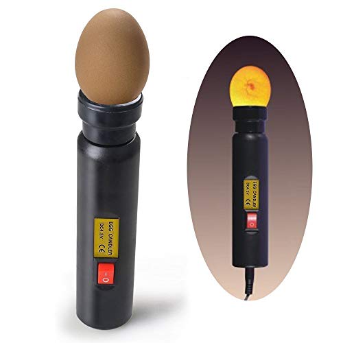 Schierlampe Zjchao Led-Eiertester, Hohe Intensität Led-Eierkerze Zur Überwachung Von Eierbrüten, Bruder, Schlüpfen Von Huhn von ZJchao