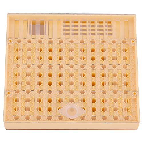 ZJchao Bienenzuchtwerkzeuge Kit, Queen -Aufzuchtbecher Kit Königin Bienenkäfig Bienenzukeke Transplantieren Werkzeug Bienenanbauwerkzeug für Plastik -Bienenzuchtbox Käfig Set von ZJchao